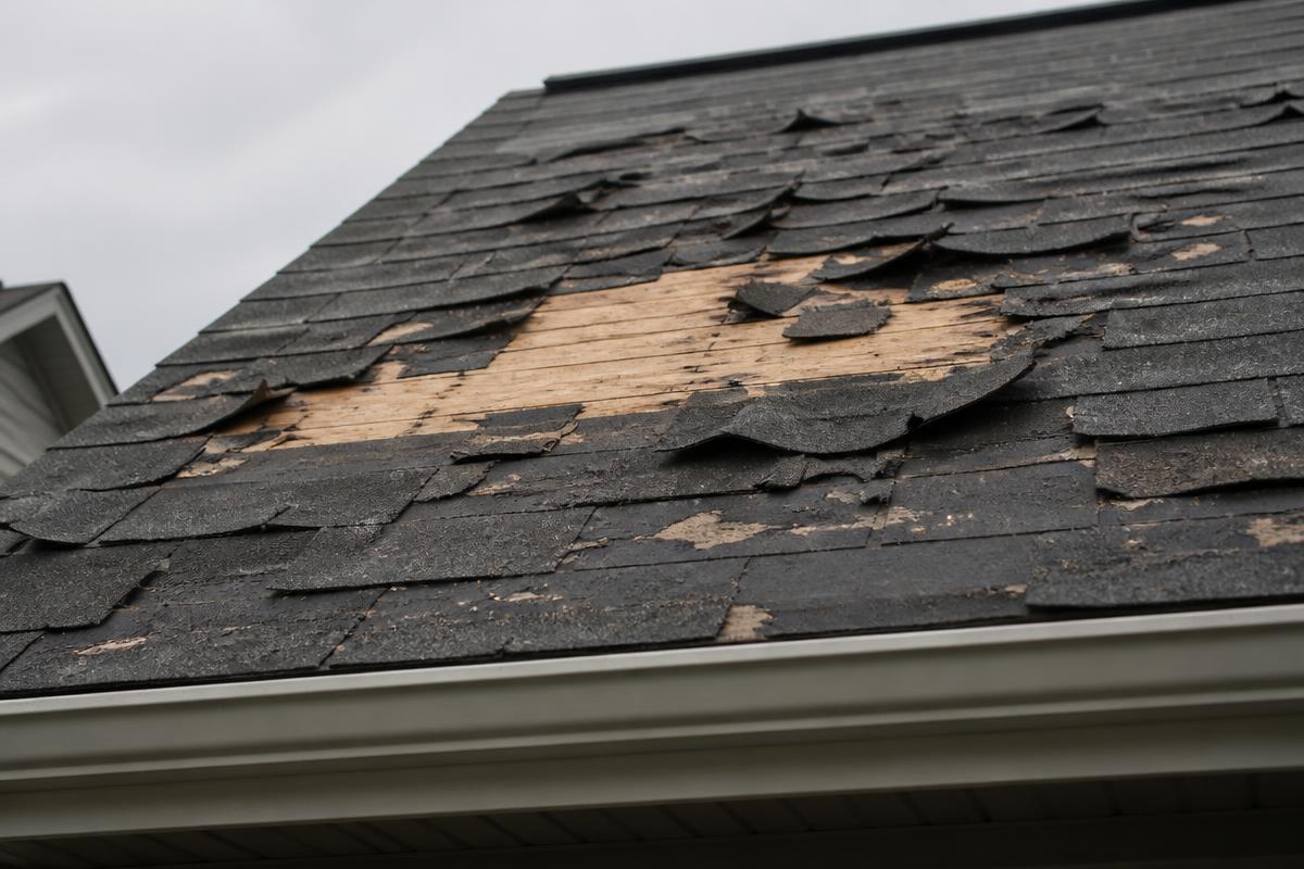Asphalt shingles torn off a roof by storm winds, exposing bare decking